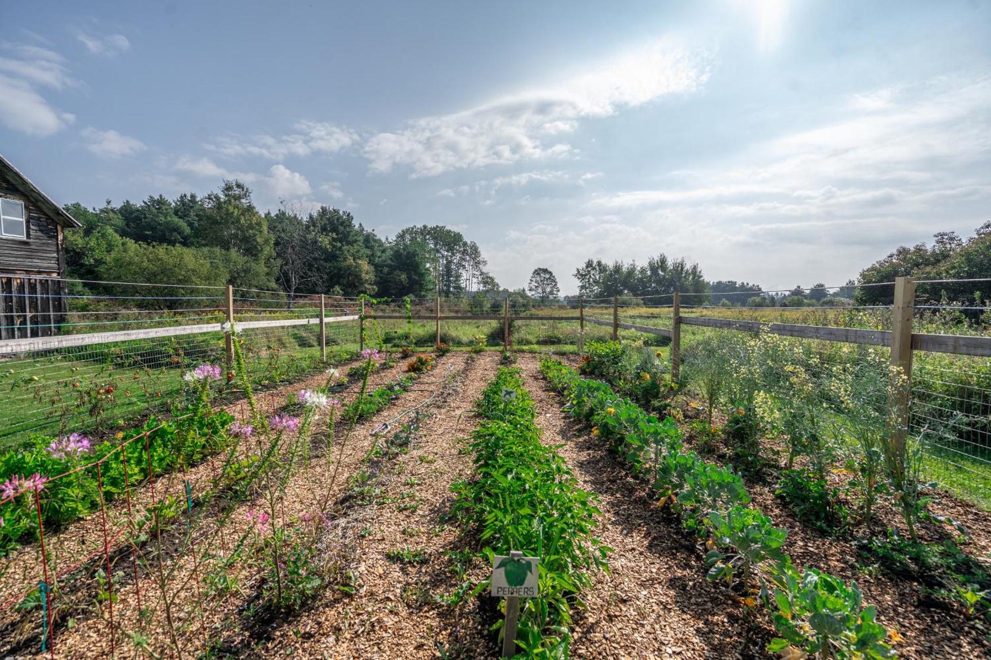 Saratoga Farmstead B&B Саратога-Спрингс Экстерьер фото